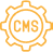 CMS web development